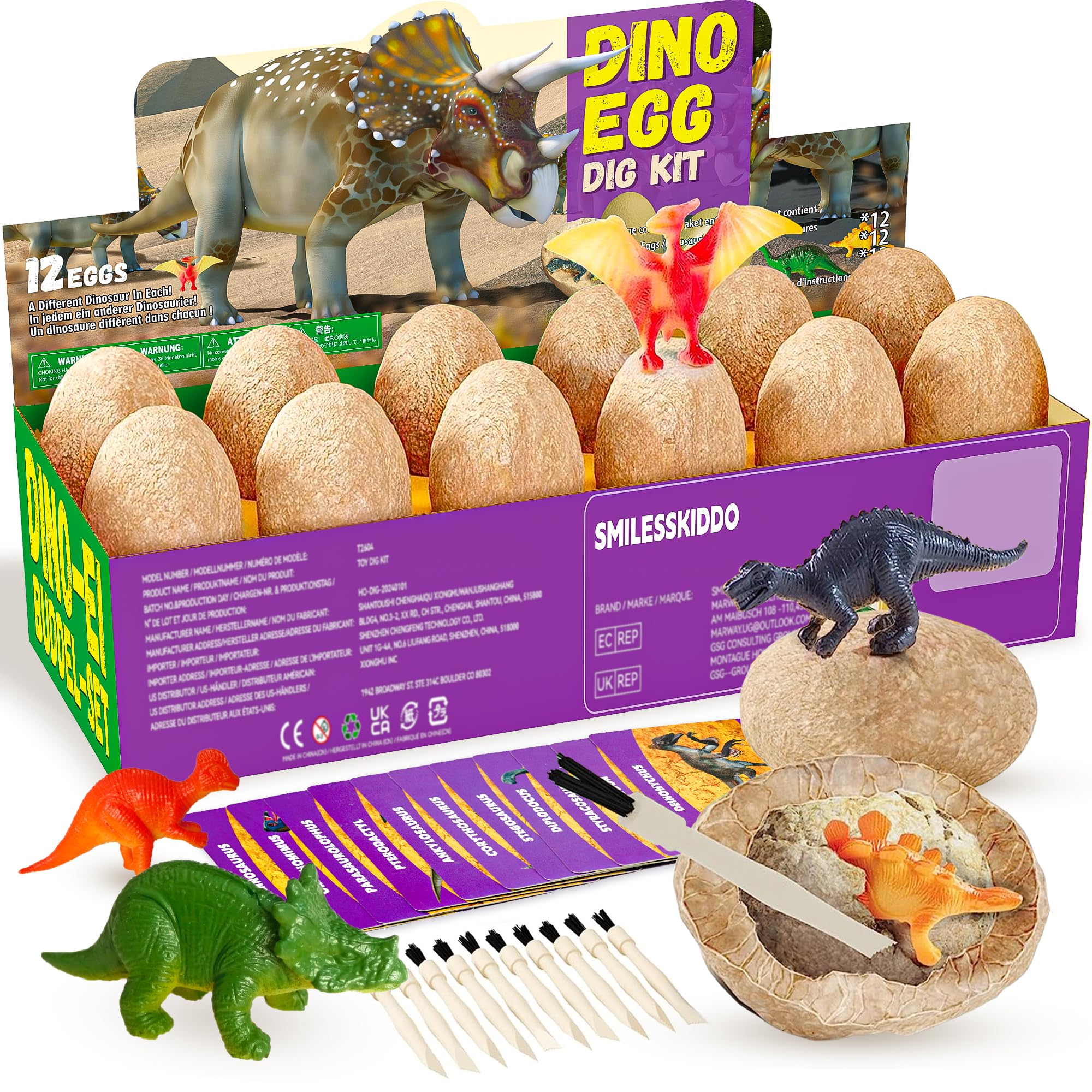 MKT Dinosaur Eggs Excavation Dig Kit - 12 Pack + Learning Cards